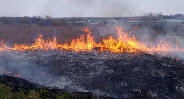 Спасатели предупреждают о пожароопасной ситуации в Украине