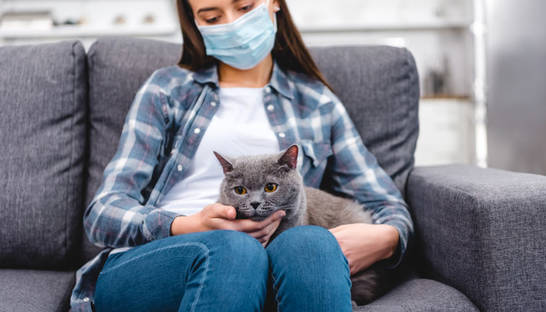 Итоги 24 октября: банда 100 полицейских и бандитов, удаленный аккаунт Зеленского