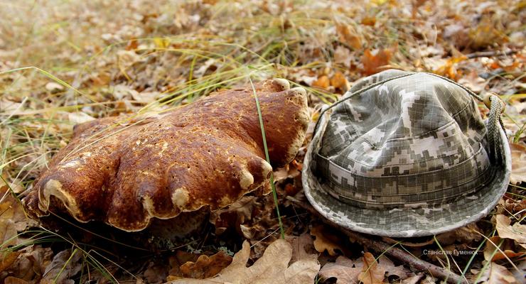 В Чернобыле сфотографировали гриб-гигант