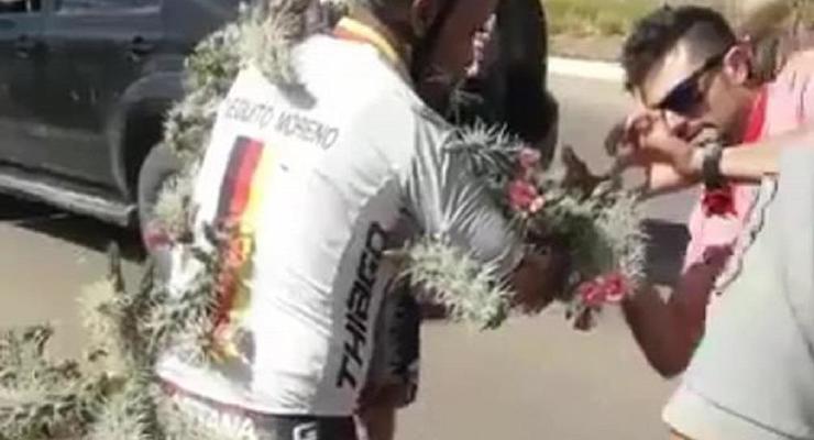 В Аргентине велосипедист поранился тысячами игл кактуса