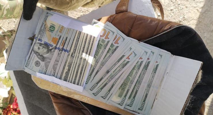 Женщина использовала собаку для переноски валюты в "ДНР"