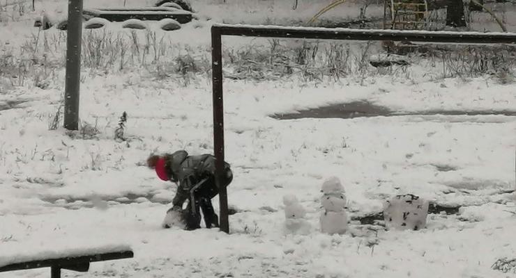 Украину накрыло первым снегом