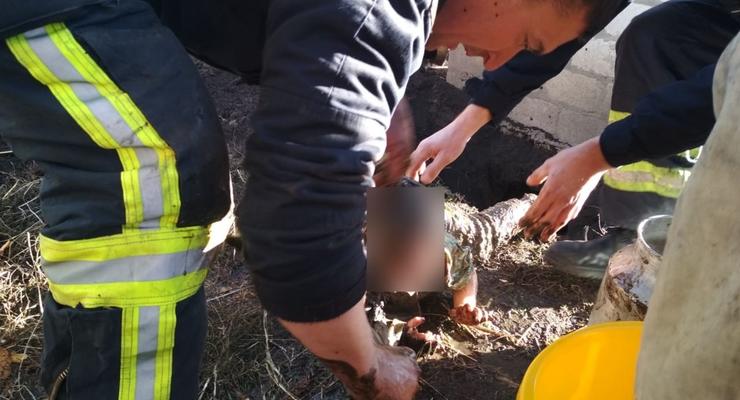 Под Днепром годовалый малыш упал в выгребную яму