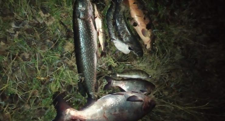 Правоохранители поймали мужчину, который ловил рыбу из Припяти