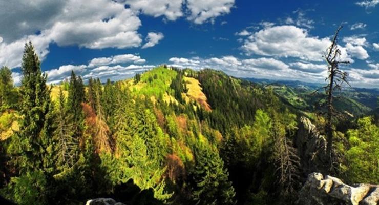 В Украине создали национальный природный парк Королевские Бескиды