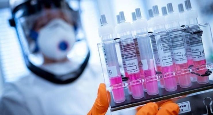 Чехия остановила разработку COVID-вакцины