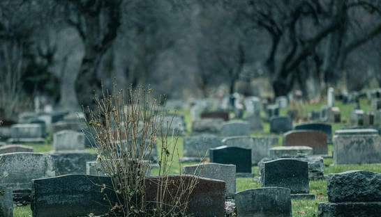 На Николаевщине на сельском кладбище осквернили сотню могил