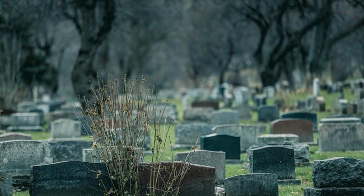 На Николаевщине на сельском кладбище осквернили сотню могил