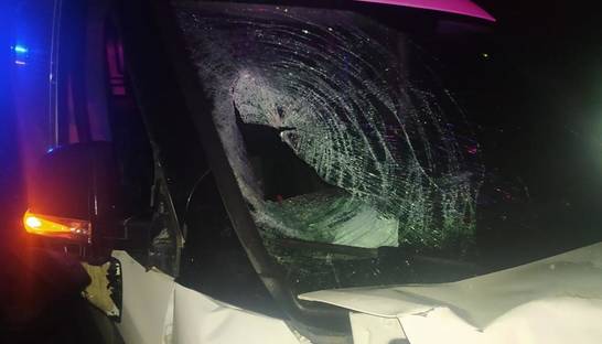 На Житомирщине автомобиль наехал на детей: 10-летний мальчик умер