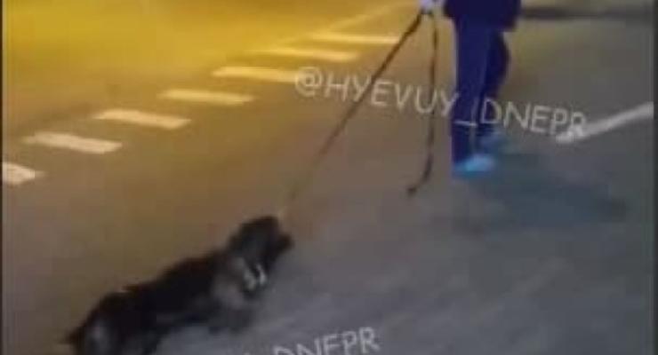 В Днепре женщина тянула по дороге собаку без признаков жизни