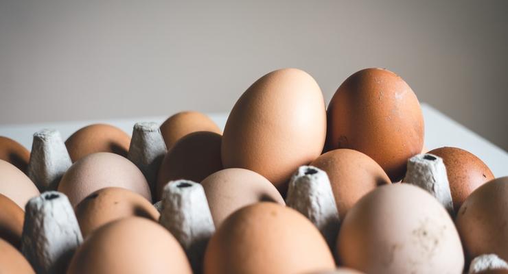 Эксперт прогнозирует рост цен на яйца в Украине
