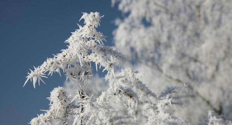 По Украине ударят сильные морозы и снегопады