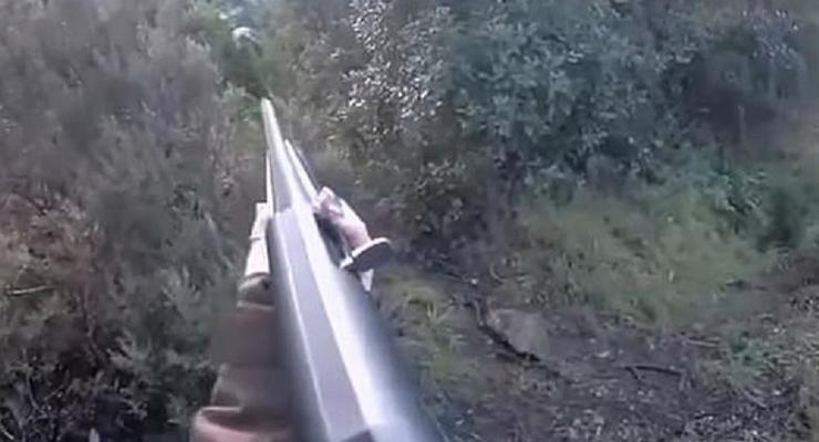 В Италии охотница отбивалась от кабана винтовкой