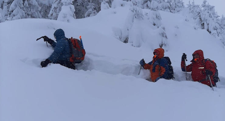 Карпаты в снегу: Спасатели два дня не могут найти пропавшего туриста
