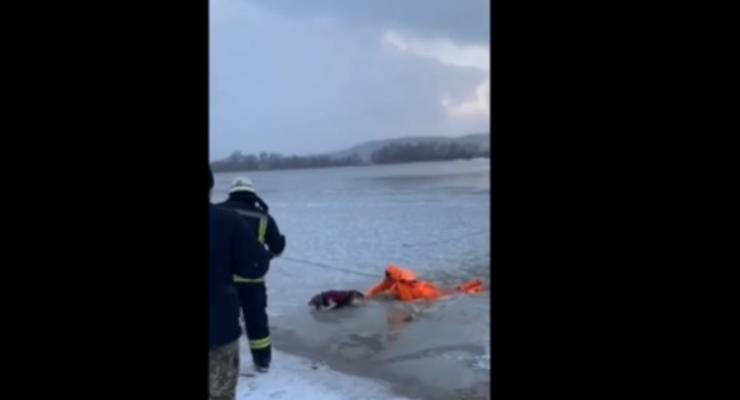 Показано видео, как в Киеве бойцы ГСЧС достали из-подо льда собаку