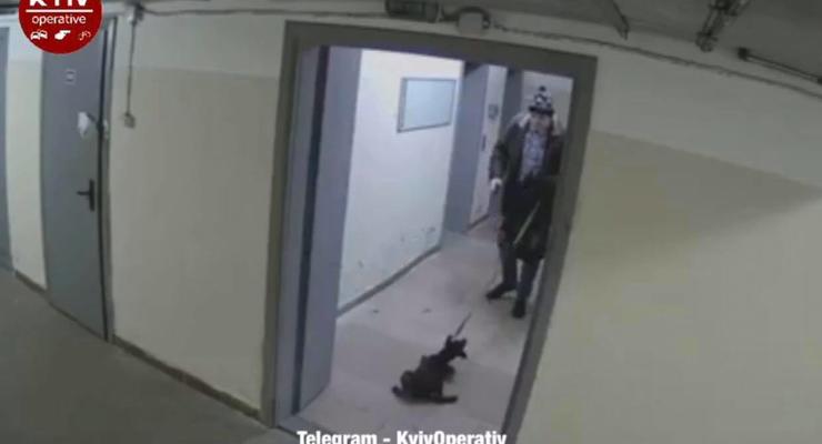 Показано видео, как в Киеве мужчина избил домашнего щенка