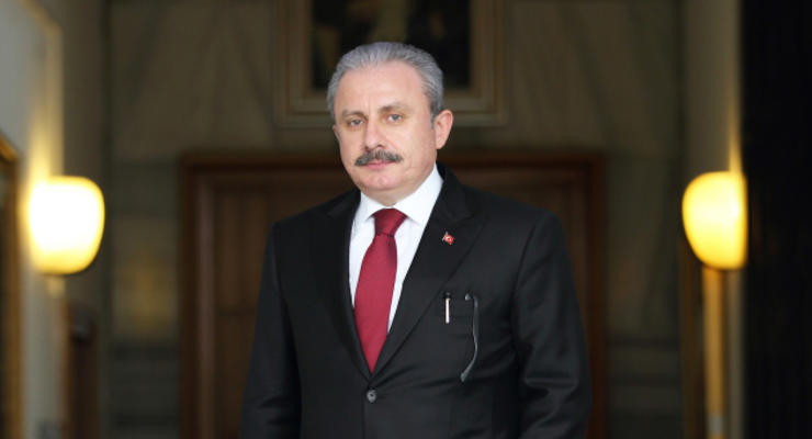 Турция официально заявила, что поддержит Крымскую платформу