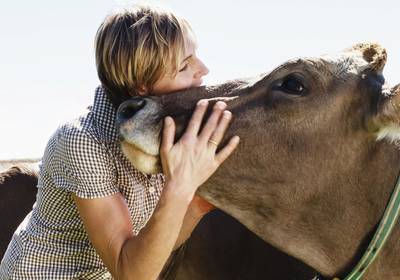 Коровьи объятия. Новая услуга в коронавирус