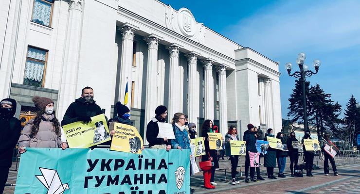 В Киеве у Рады призывали запретить меховые фермы и травлю животных