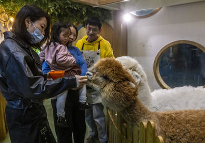 Эпидемию COVID могли запустить торговцы животными в Китае, - ВОЗ