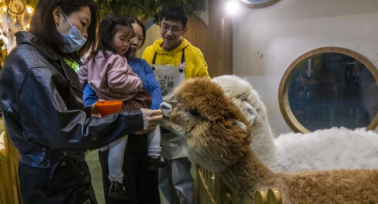 Эпидемию COVID могли запустить торговцы животными в Китае, - ВОЗ