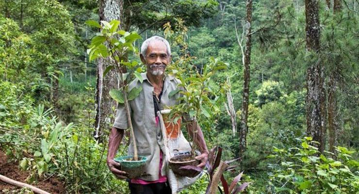 Индонезиец в одиночку высадил 11 тысяч деревьев