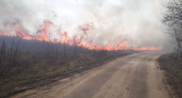 В Киеве начались масштабные пожары в экосистемах