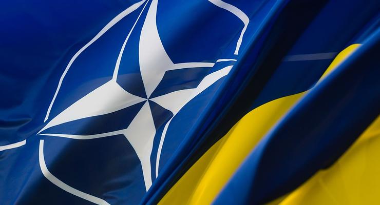 В НАТО объяснили, почему Украина еще не вступила в Альянс