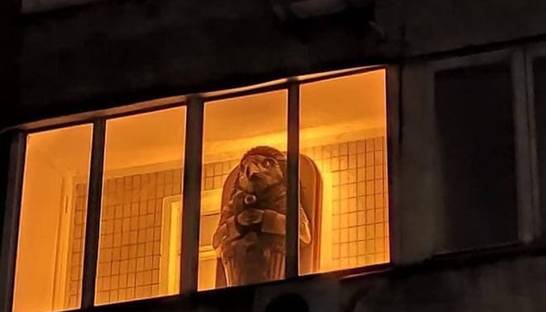 В Киеве на балконе многоэтажного дома заметили саркофаг