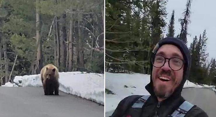 В США медведь преследовал бегуна