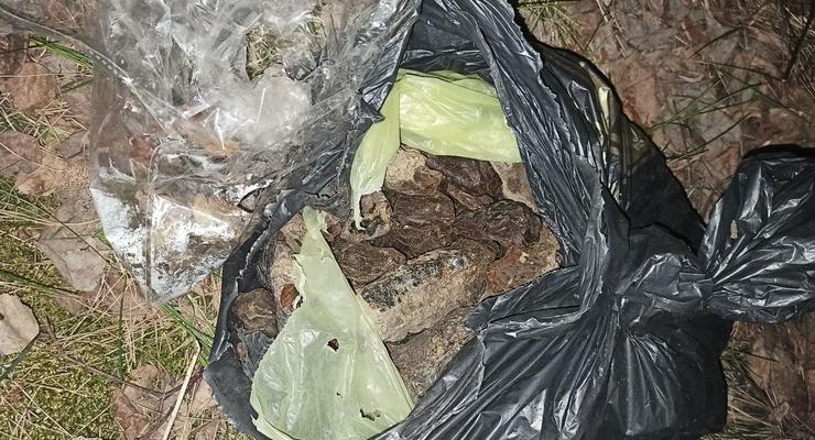 На Ровенщине полиция изъяла почти 11 кг контрабандного янтаря