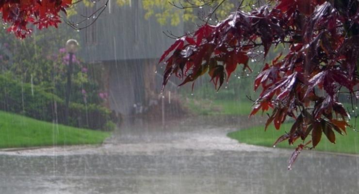 Погода на неделю: Украину накроют майские дожди