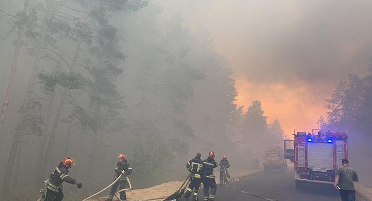 Тушили пожары на бумаге: На Луганщине будут судить пожарных