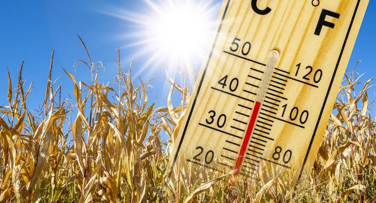 Аномальной жары не будет: Климатолог сообщила, чего ждать от лета-2021