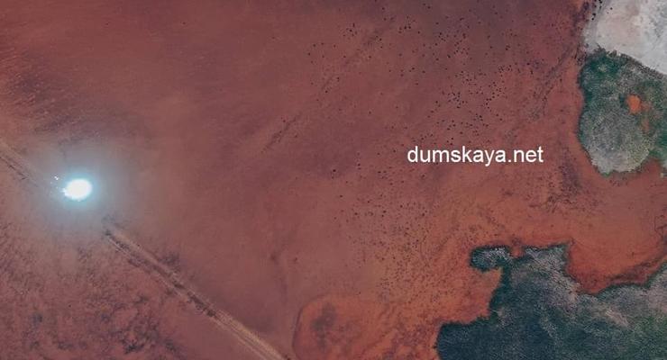 Похоже на Марс: Лиман у Одессы снова стал красным