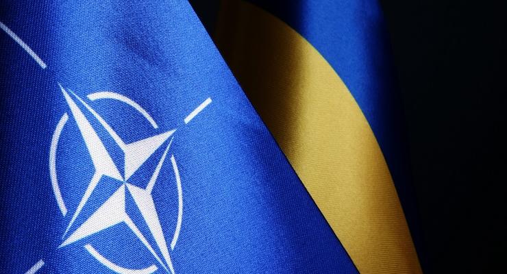 Кабмин Германии: "Вопрос вступления Украины в НАТО не стоит на повестке"
