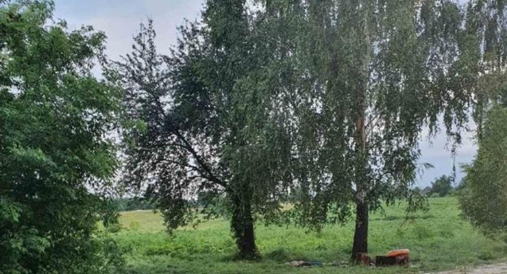 В Черкасской области молния убила двух человек