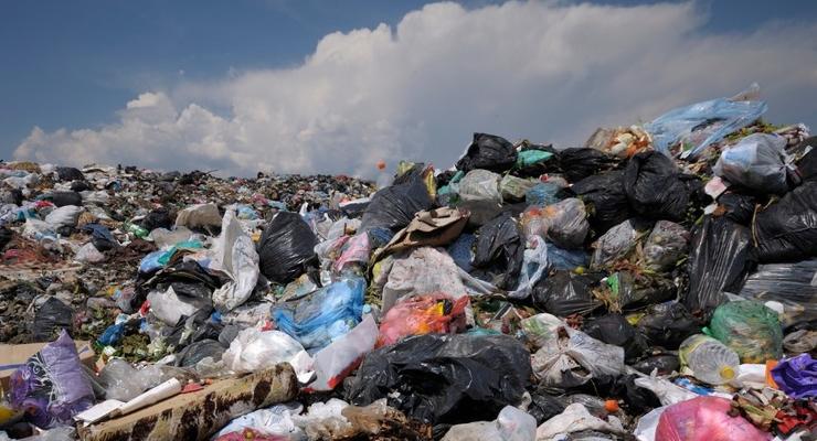 Под Киевом обнаружили 80 нелегальных мусорных свалок