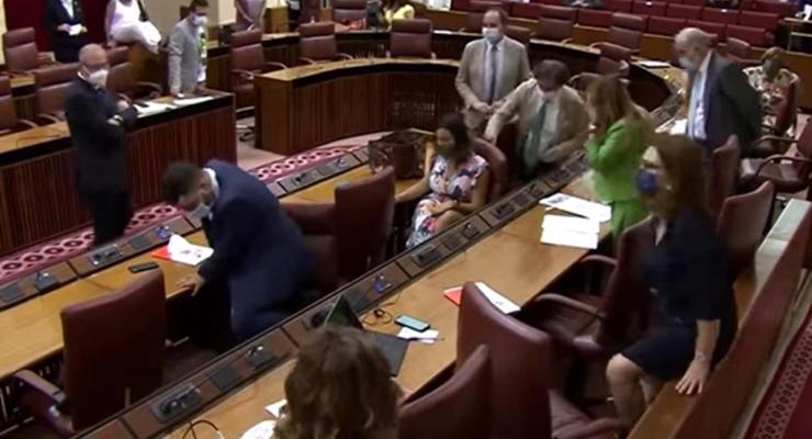 В Андалусии крыса сорвала заседание парламента