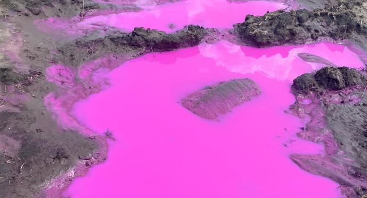 В поле под Ровно появились розовые лужи, вызваны экологи