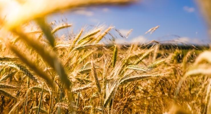 На Кировоградщине собрали первый миллион тонн зерновых