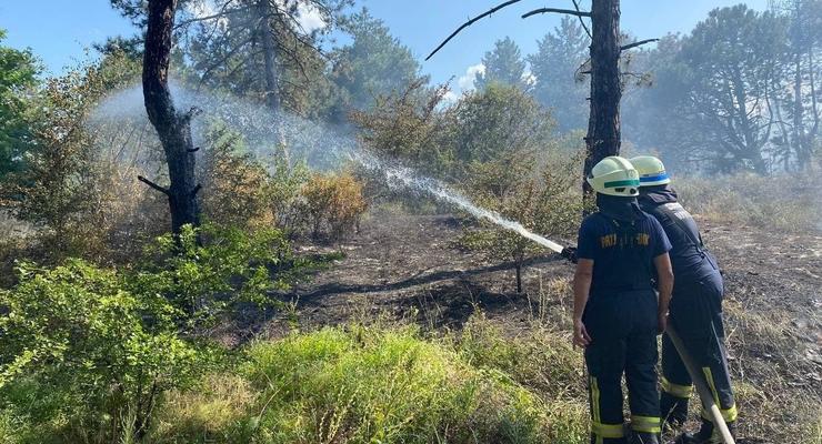 На острове Хортица крупный пожар: Выгорело больше 10 га леса