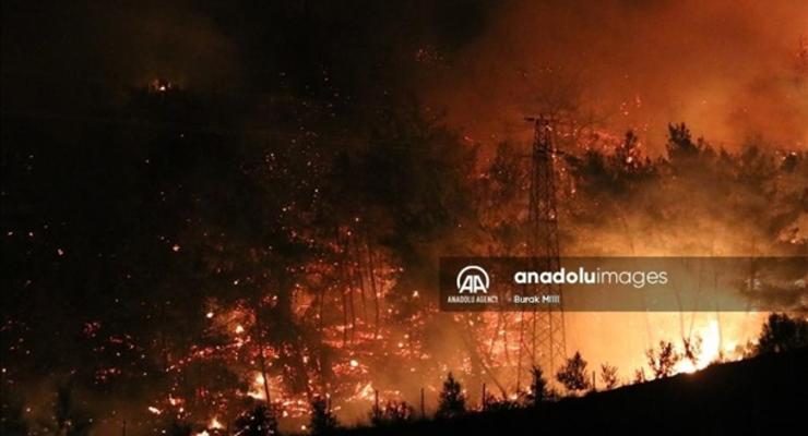 Власти Турции назвали лесные пожары "национальным бедствием"