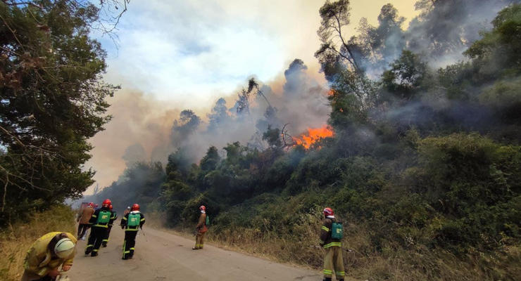 В ГСЧС показали, как украинские спасатели тушат лесные пожары в Греции