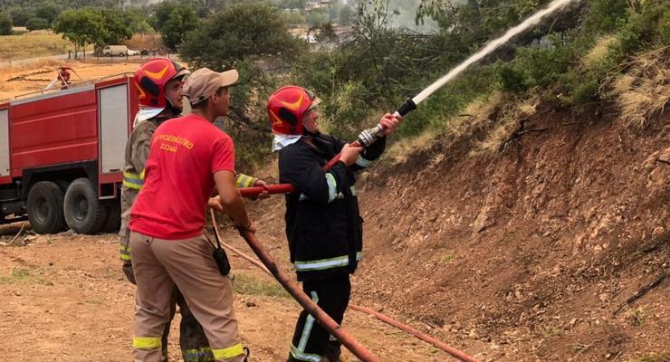 Украинские спасатели локализовали пожар в лесу в Греции
