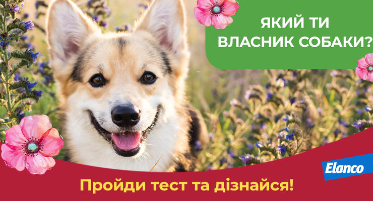 Офіційні правила проведення акції «Який ти власник собаки?»