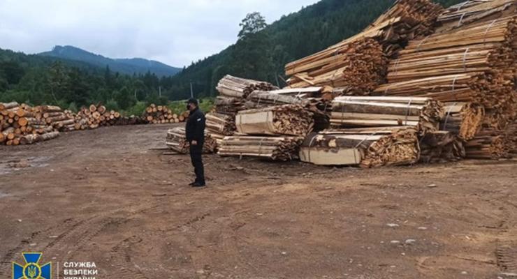 Из заповедной зоны на Буковине продавали лес на миллионы гривен