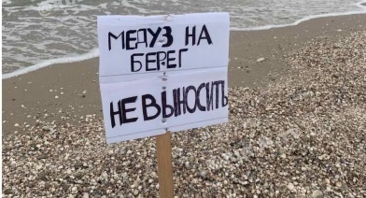 В Кирилловке отдыхающим запретили вытаскивать медуз из воды