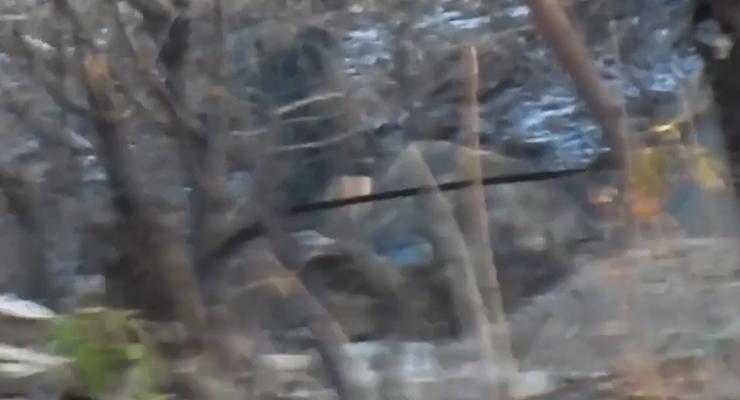 В Сети показали видео ликвидации снайпера боевиков на Донбассе