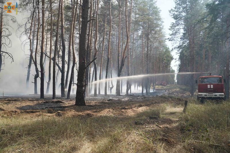 В Луганской области начался лесной пожар / lg.dsns.gov.ua